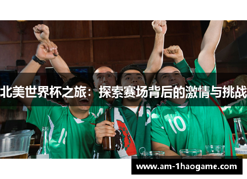 北美世界杯之旅：探索赛场背后的激情与挑战