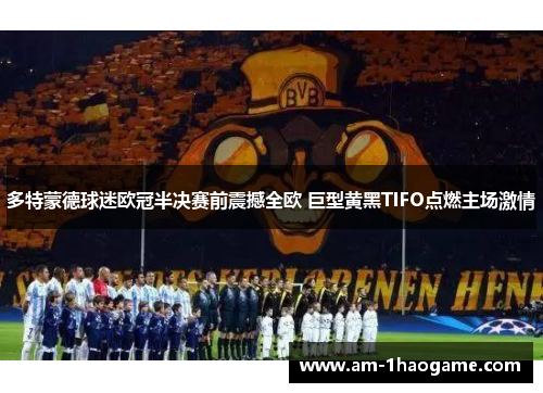 多特蒙德球迷欧冠半决赛前震撼全欧 巨型黄黑TIFO点燃主场激情 多特蒙德球迷欧冠半决赛前震撼全欧 巨型黄黑TIFO点燃主场激情