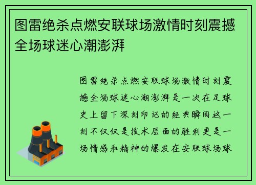 图雷绝杀点燃安联球场激情时刻震撼全场球迷心潮澎湃